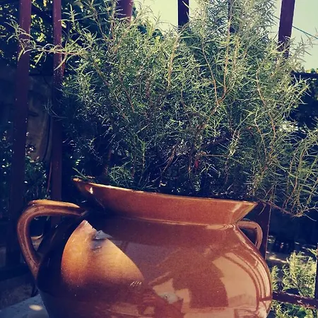 Sweet With Garden On Hill Above Dubrovnik Ivanica